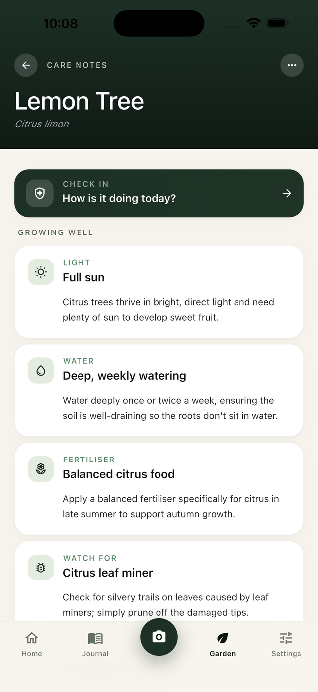 Care notes for Lemon Tree showing light, water, fertiliser sections