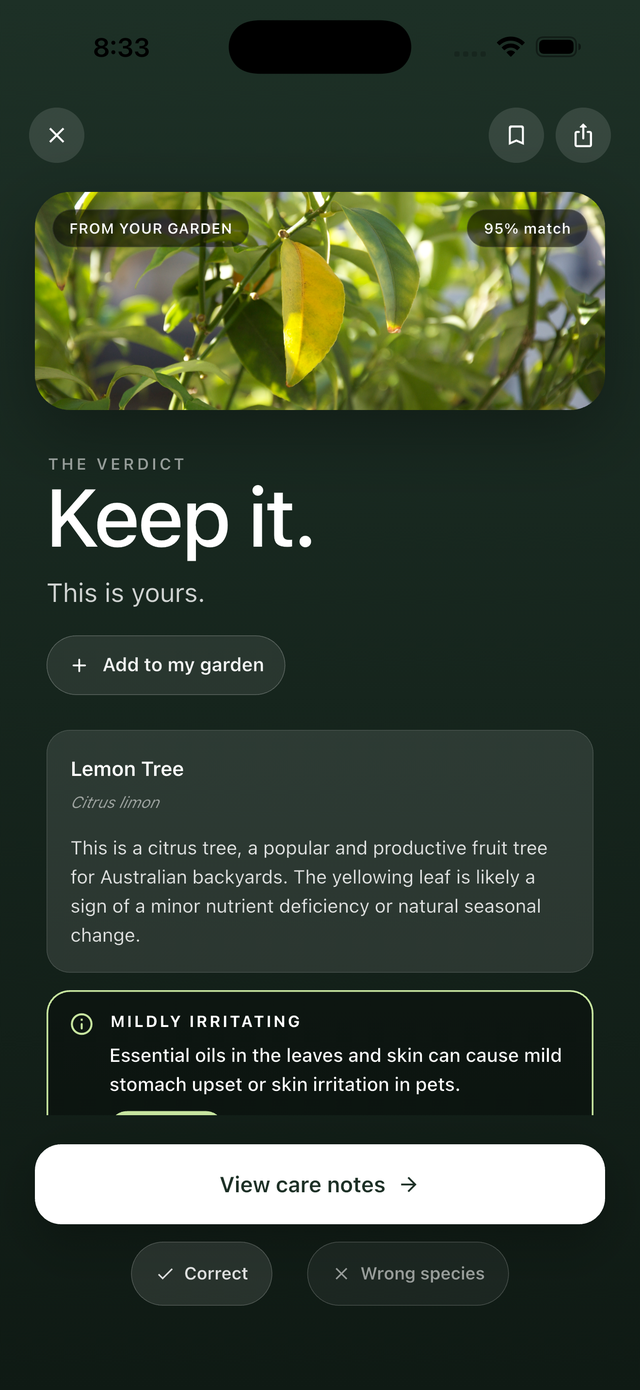 Keep verdict for a Lemon Tree with mildly irritating toxicity warning